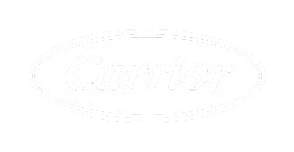 Carrier